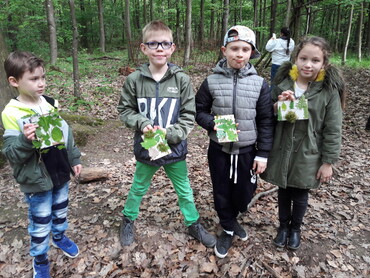 Ausflug in den Wald