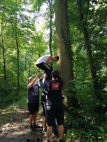 Markierungen am Baum anbringen