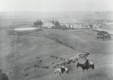 Die Bloomfield Ranch von Henry Miller